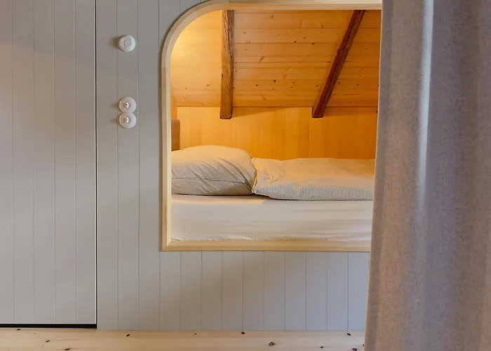Altes Zollhaus 度假居 Neukirchen