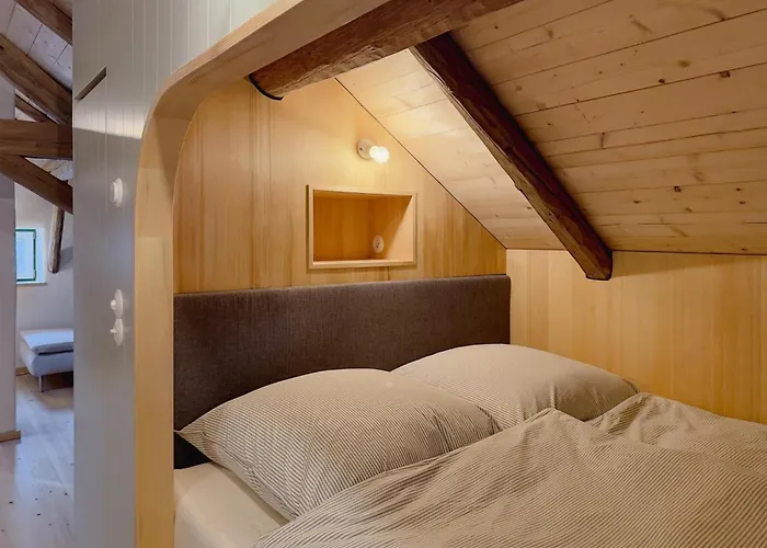 Altes Zollhaus 度假居 Neukirchen
